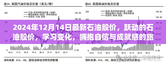 跃动石油股价，学习变化，拥抱自信与成就感的旅程（2024年12月14日最新信息）