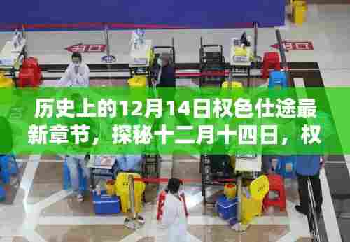 探秘权色仕途隐秘小巷的特色小店,十二月十四日最新章节揭秘