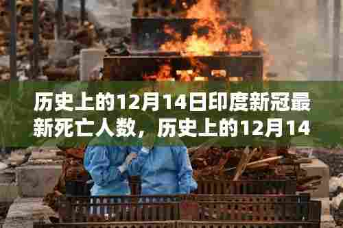 深度解析，印度历史上的十二月十四日新冠死亡人数及其影响