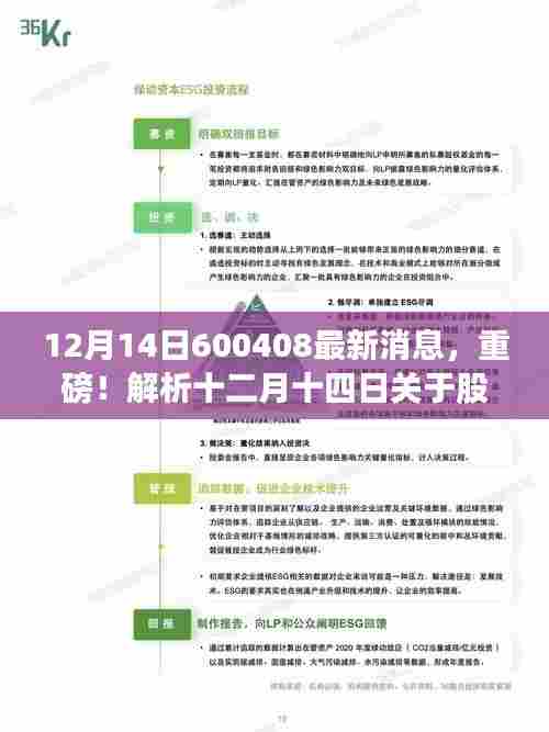 股票代码600408最新消息解析，十二月十四日的动态及其深远影响重磅来袭