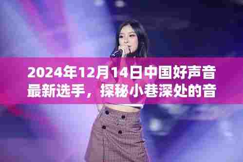探秘小巷深处的音符传奇,揭秘中国好声音新星闪耀选手的诞生之路(2024年最新报道)