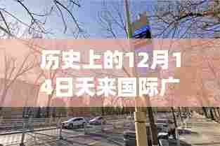 历史上的12月14日天来国际广场最新动态与消息速递