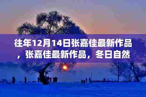 张嘉佳冬日心灵之旅新作揭晓，寻找静谧的自然之境