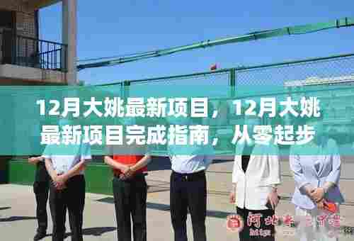 从零起步到精通，12月大姚最新项目完成指南