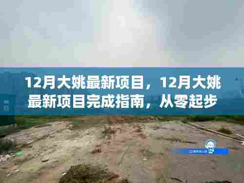 从零起步到精通,12月大姚最新项目完成指南