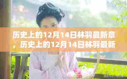 历史上的12月14日林羽最新章深度测评与介绍