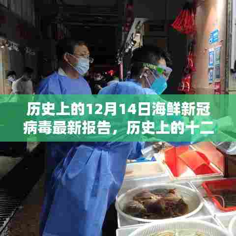 历史上的十二月十四日海鲜新冠病毒报告深度解析与最新报告更新