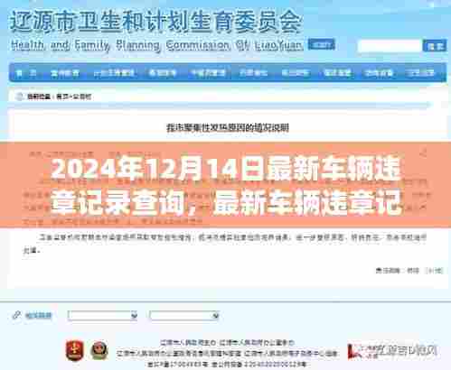 2024年车辆违章记录查询指南,最新车辆违章查询及处理方式