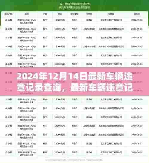 2024年车辆违章记录查询指南,最新车辆违章查询及处理方式