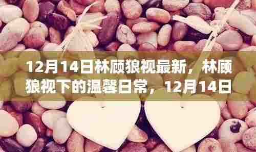 林顾狼视下的温馨日常，12月14日的特别友情故事