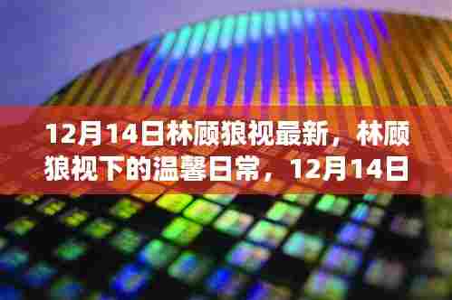 林顾狼视下的温馨日常,12月14日的特别友情故事