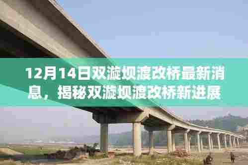 揭秘双漩坝渡改桥最新进展,神秘小巷特色小店中的新桥建设消息(12月14日)