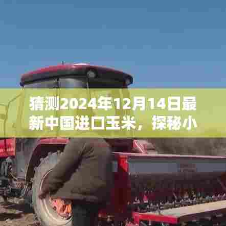 探秘小巷深处的玉米秘境，预测中国进口玉米新风尚，揭秘2024年进口趋势分析。