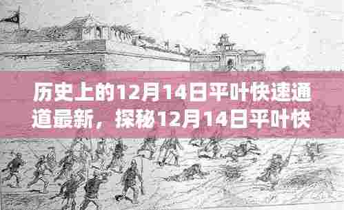 探秘平叶快速通道旁隐秘美食天堂，巷弄特色小店之旅（最新资讯，日期聚焦）