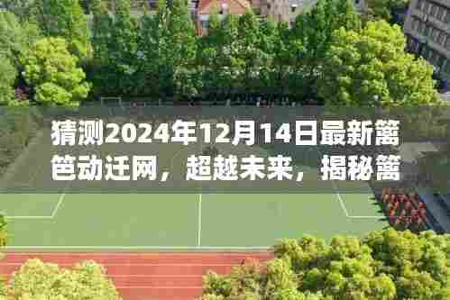 揭秘未来篱笆动迁网背后的故事,变化铸就自信与成就之路