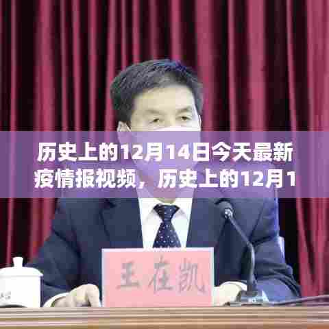 历史上的12月14日疫情深度解析与今日最新报告视频发布