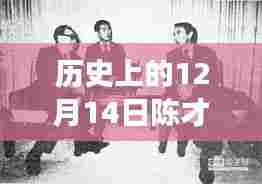 揭秘陈才强最新消息，全面步骤指南（历史篇）