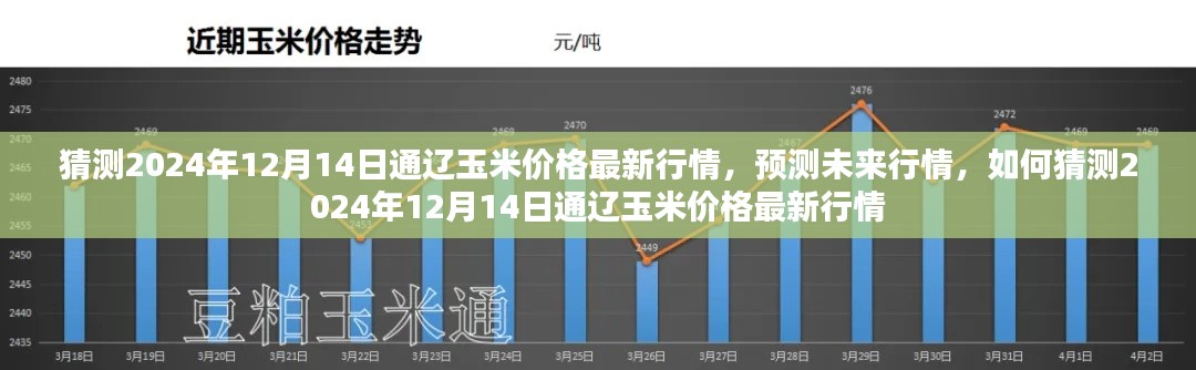 揭秘未来行情,预测通辽玉米价格最新行情及未来走势分析(2024年12月14日)