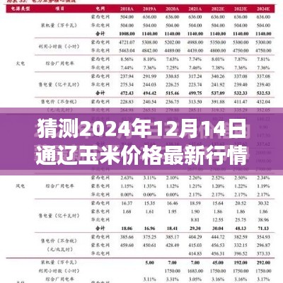 揭秘未来行情,预测通辽玉米价格最新行情及未来走势分析(2024年12月14日)
