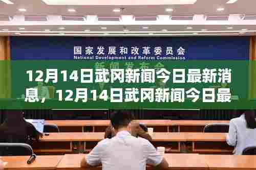 武冈新闻今日最新消息综述(12月14日)