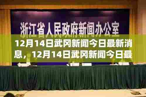 武冈新闻今日最新消息综述(12月14日)