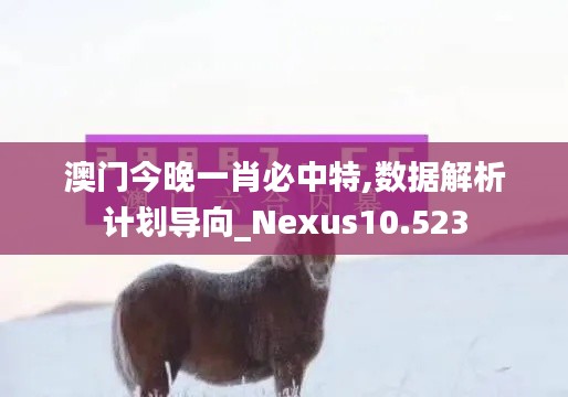 澳门今晚一肖必中特,数据解析计划导向_Nexus10.523