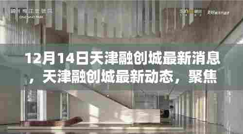 天津融创城最新动态揭秘，聚焦12月14日最新消息