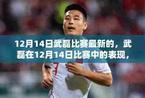 武磊在12月14日比赛中的表现深度分析与观点阐述,赛场风采再现!