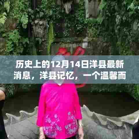 洋县历史记忆,温馨特别的12月14日最新消息