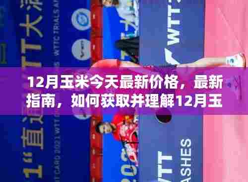 12月玉米最新价格指南,获取与理解,适合初学者与进阶用户参考