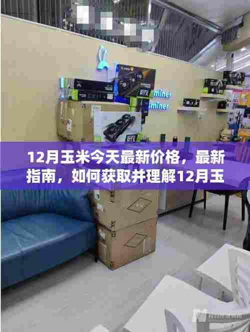 12月玉米最新价格指南，获取与理解，适合初学者与进阶用户参考