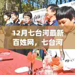 观点阐述，七台河百姓网聚焦民生信息，共创智慧社区十二月新动态解析