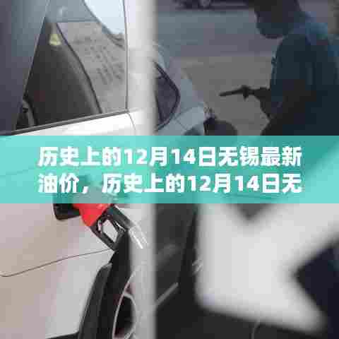 历史上的12月14日无锡油价解析,波动趋势与个人观点