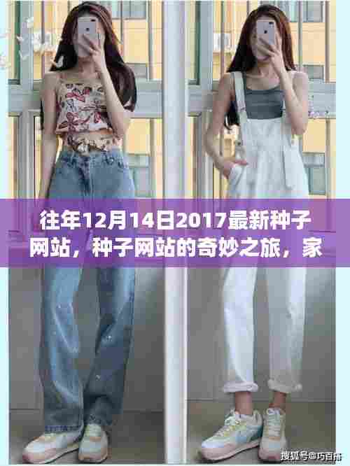 家庭温馨故事,种子网站的奇妙之旅与往年最新资讯回顾