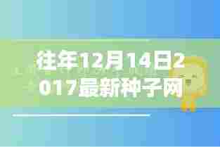 家庭温馨故事,种子网站的奇妙之旅与往年最新资讯回顾