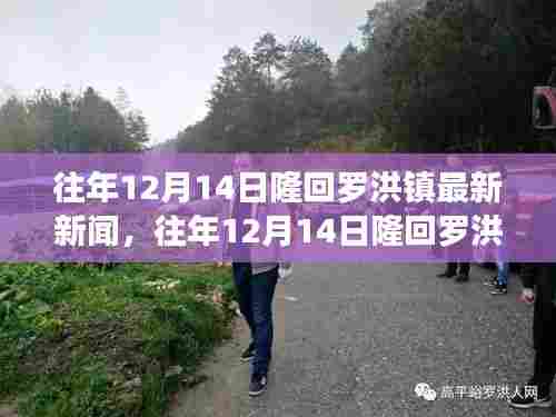 往年12月14日隆回罗洪镇新闻综述，最新动态与报道