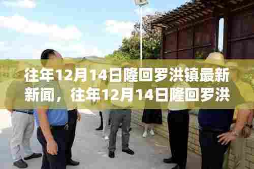 往年12月14日隆回罗洪镇新闻综述,最新动态与报道