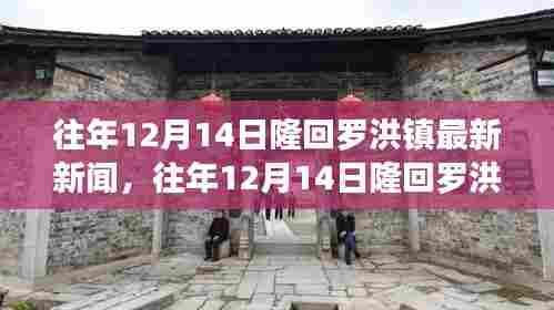 往年12月14日隆回罗洪镇新闻综述,最新动态与报道