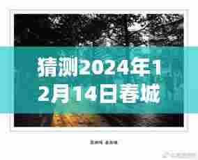 揭秘春城小巷深处的独特风味，特色小店的神秘面纱与未来猜想——来自2024年12月14日的最新猜测