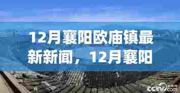 12月襄阳欧庙镇最新新闻热点解析