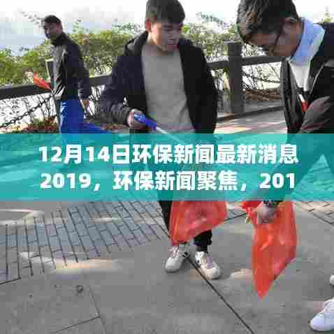 深度解析，环保新闻聚焦，最新环保资讯深度报道，环保动态回顾与前瞻 —— 2019年12月14日