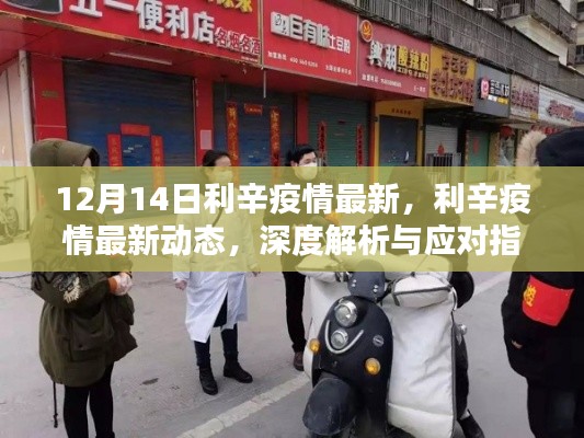 利辛疫情最新动态深度解析与应对指南(12月14日更新版)