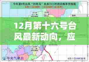 张灯挂彩 第5页