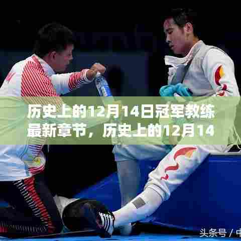 历史上的12月14日冠军教练，最新章节与个人观点探析