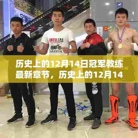 历史上的12月14日冠军教练,最新章节与个人观点探析