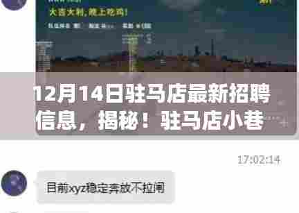 揭秘驻马店隐藏宝藏，招聘奇遇记与特色小店的冬日邂逅