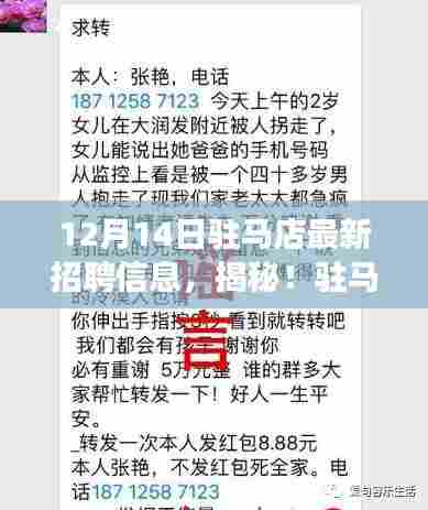 揭秘驻马店隐藏宝藏,招聘奇遇记与特色小店的冬日邂逅