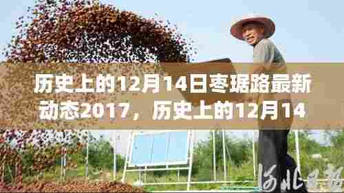 探寻枣琚路最新发展动态，历史上的12月14日回顾与2017年最新动态
