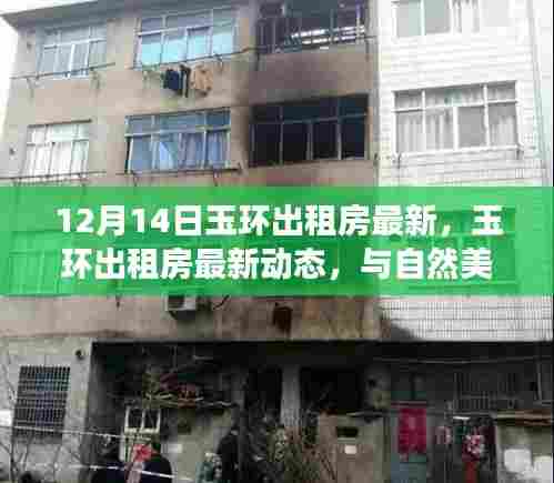 玉环出租房最新动态,与自然美景相遇,重拾宁静的租房之旅