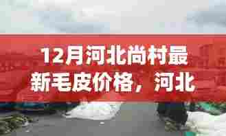 河北尚村毛皮市场最新动态,12月毛皮价格与市场新篇章的自信与成就之源